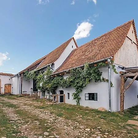 Отель Viscri 125